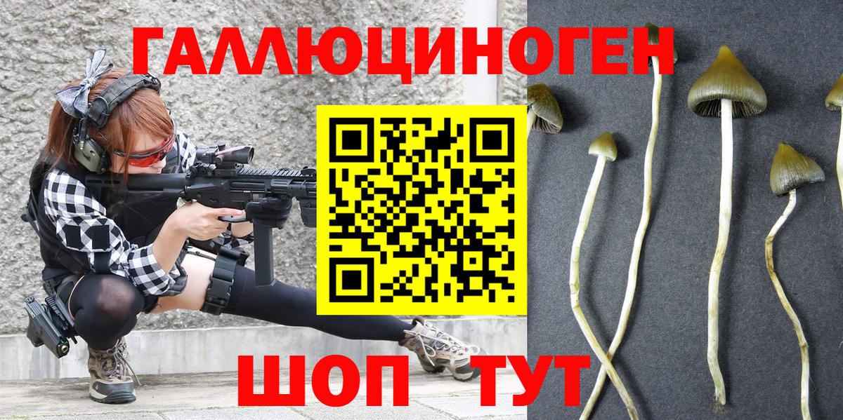 Галлюциногенные грибы GOLDEN TEACHER  Псилоцибиновые грибы мухоморы  Томск  Вход с VPN 